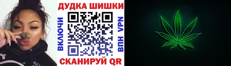 Наркотические вещества Сосновый Бор Бошки Шишки  Бутират  APVP  Галлюциногенные грибы  Гашиш  Меф мяу мяу  КОКАИН 