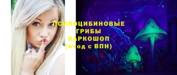 спиды Медвежьегорск