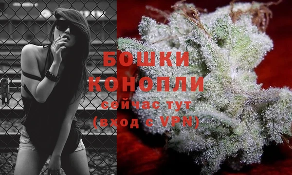 спиды Медвежьегорск