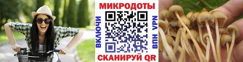 shop формула  Сосновый Бор  Псилоцибиновые грибы Magic Shrooms 