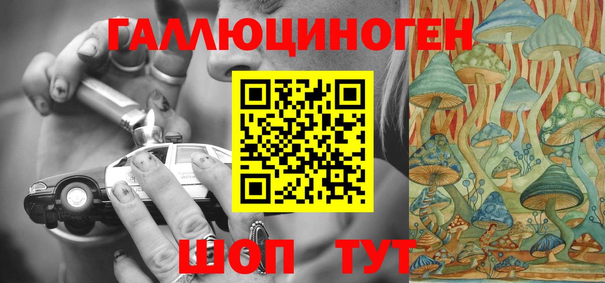 Сосновый Бор  Галлюциногенные грибы Cubensis  Вход с VPN 