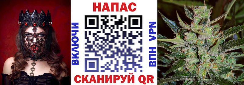 площадка клад  Сосновый Бор  МАРИХУАНА тримм 